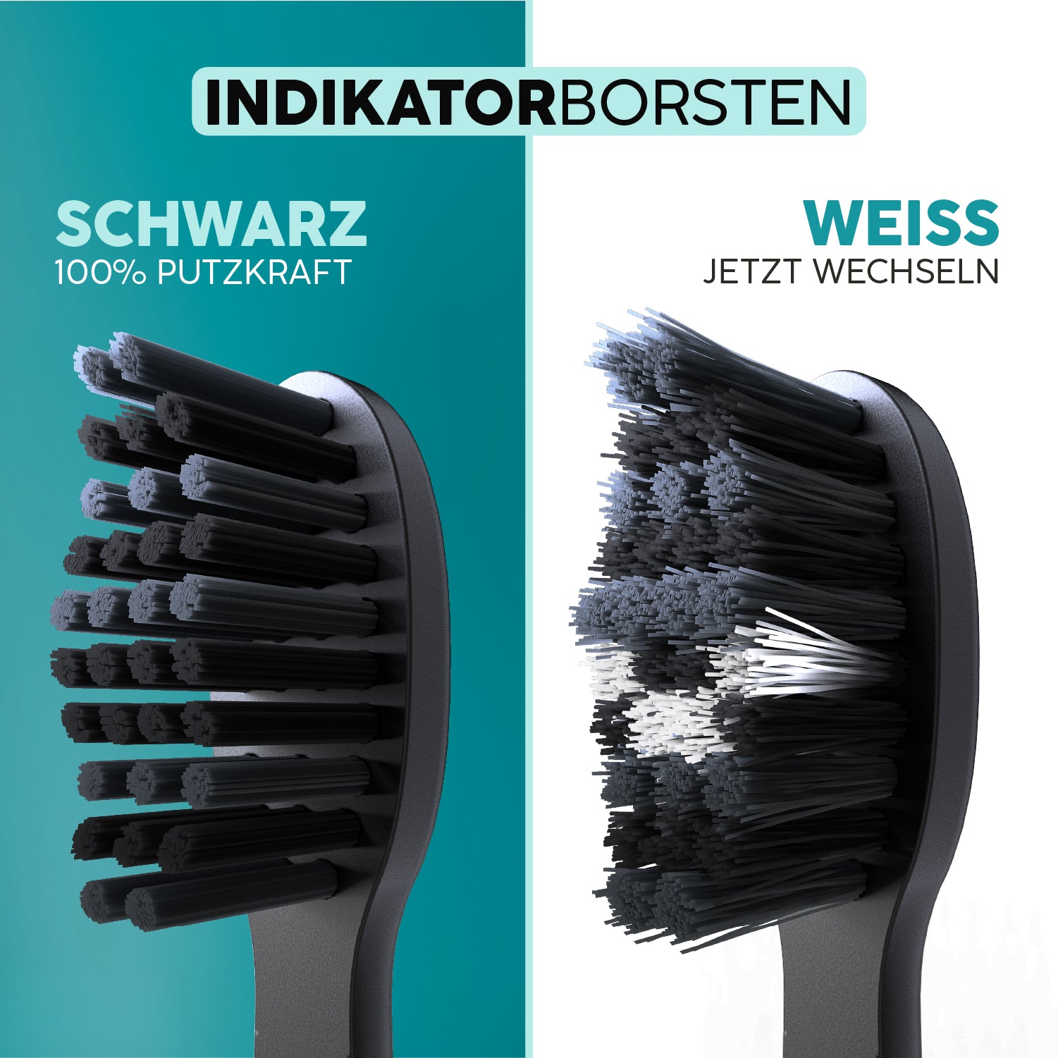 Aufsteckbürsten Eco VIBE 3+ | Allblack