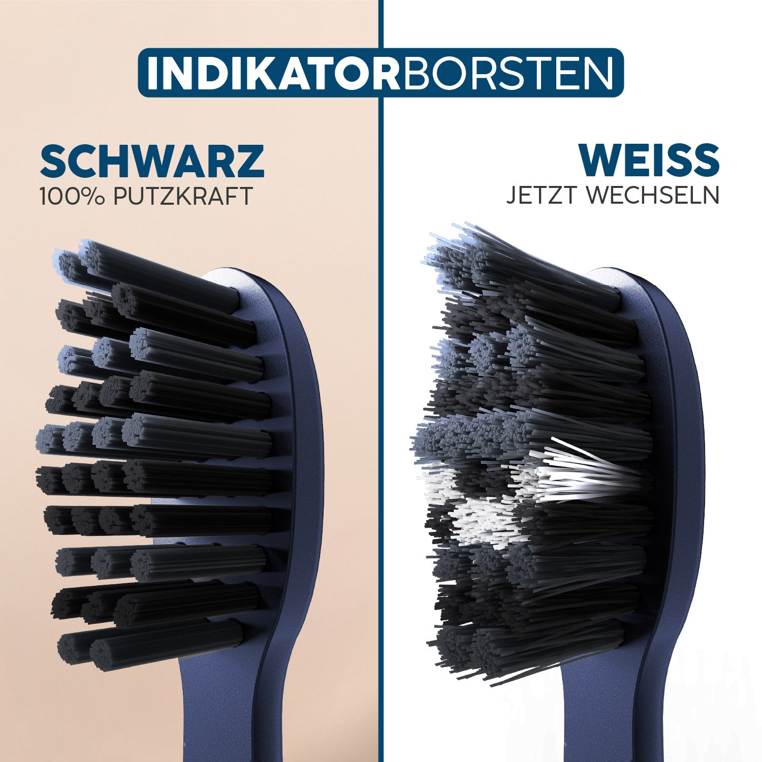 Aufsteckbürsten Eco VIBE 3+ | Ocean