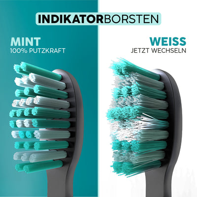 Aufsteckbürsten Eco VIBE 3+ | Black-Mint