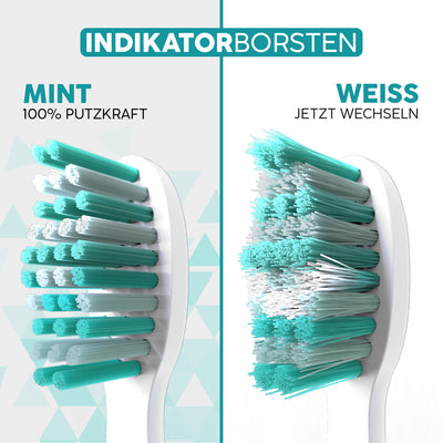 Aufsteckbürsten Eco VIBE 3+ | White-Mint