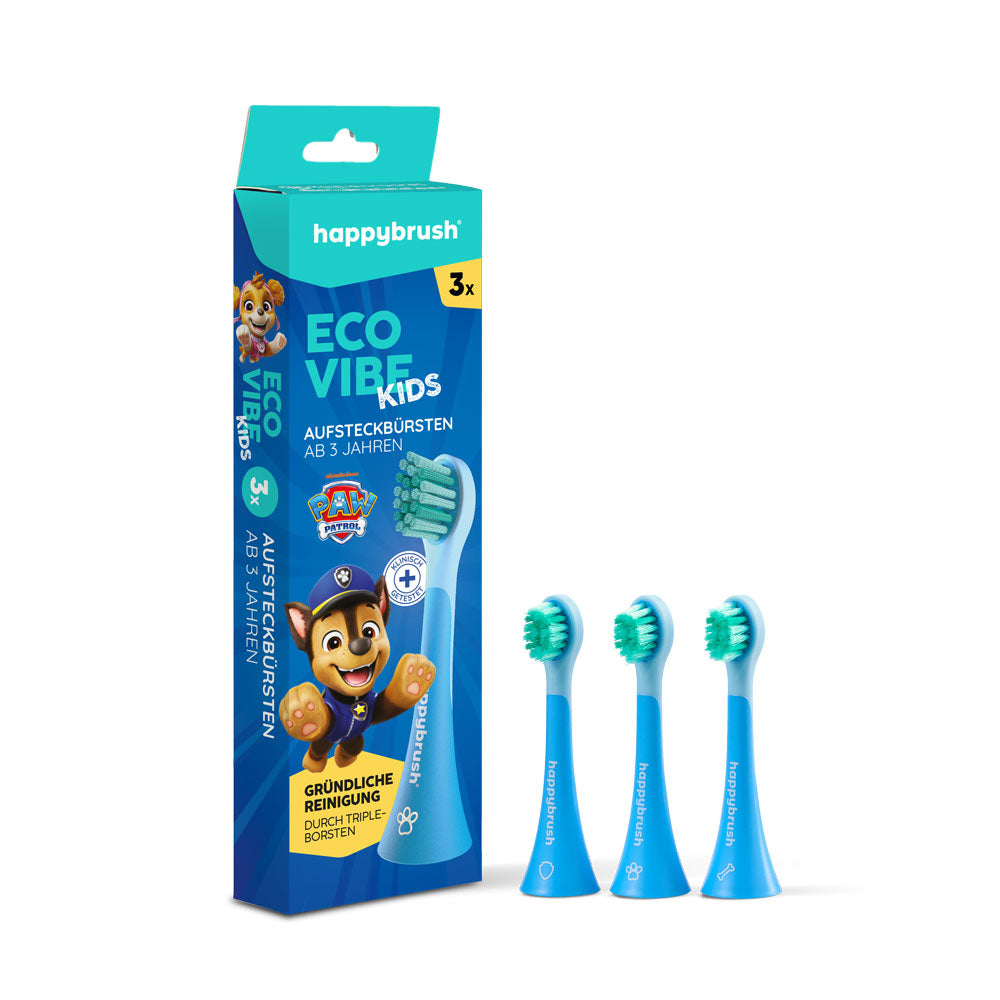 Eco Vibe Kids | Paw Patrol